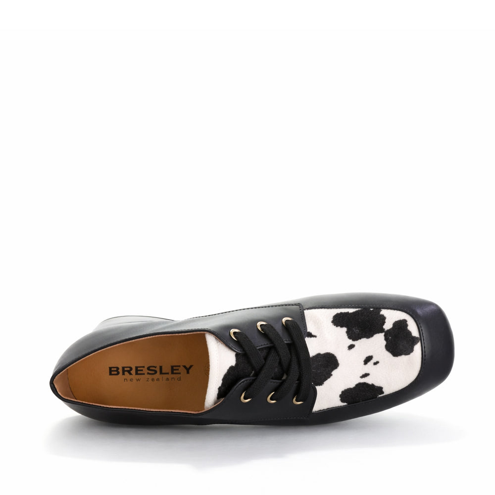 BRESLEY DESTER BLACK COW - Image 3