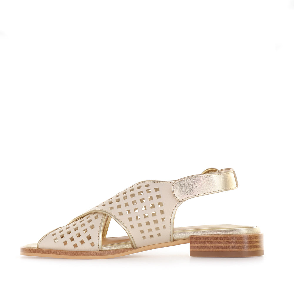 BRESLEY SAMENA SWAN GOLD - Image 3
