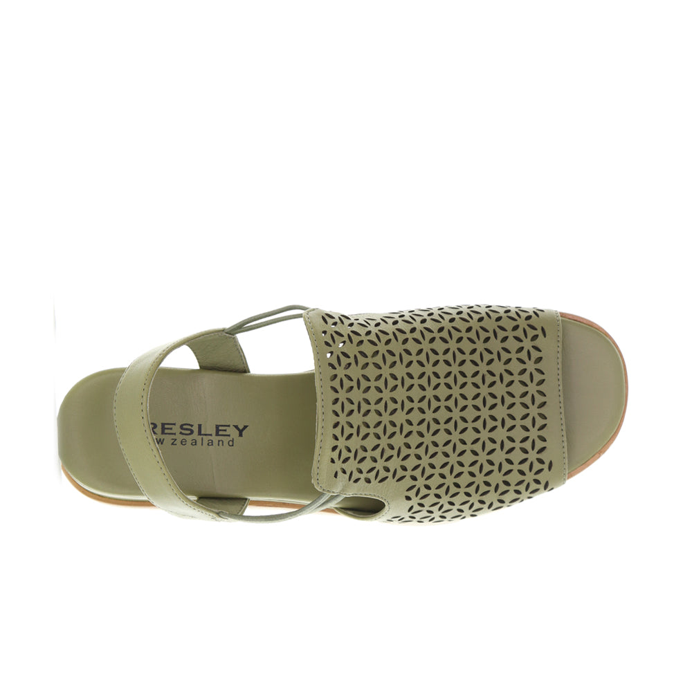 BRESLEY SLED ELM - Image 4