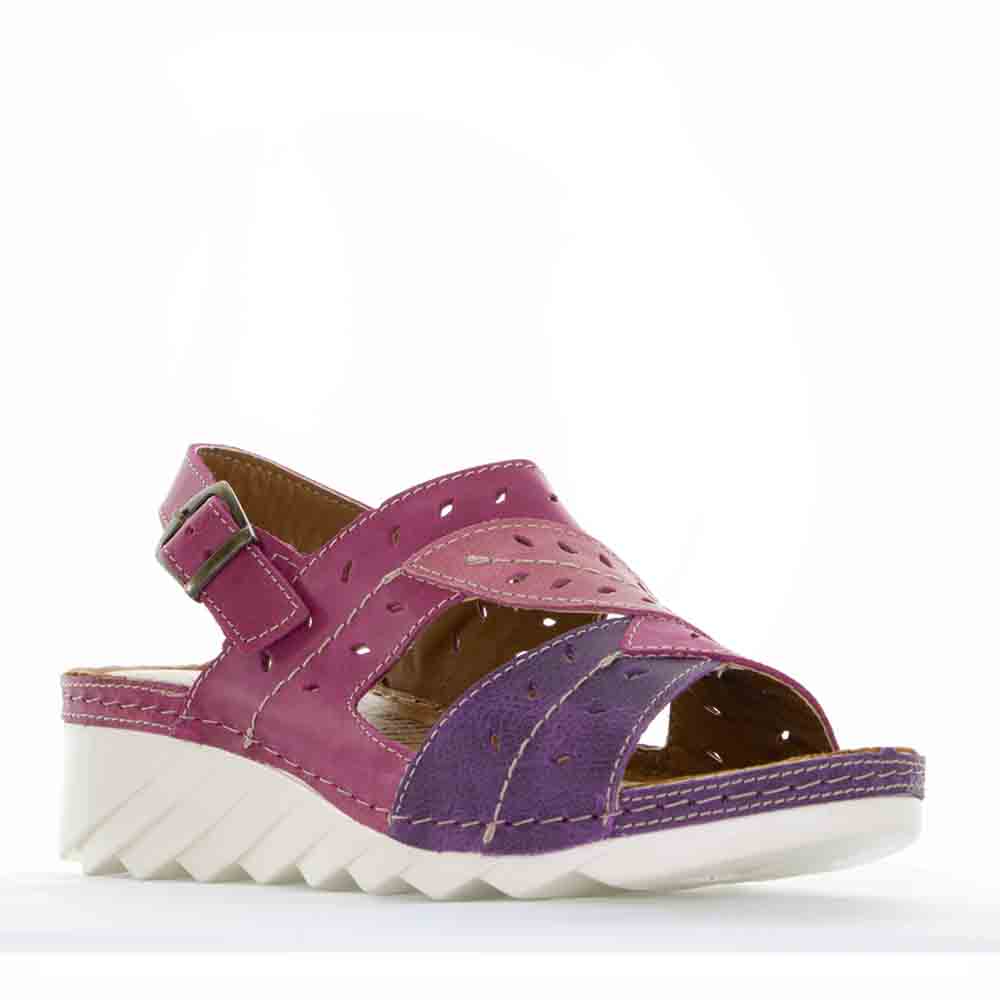 CABELLO 770-445 PURPLE - Image 2