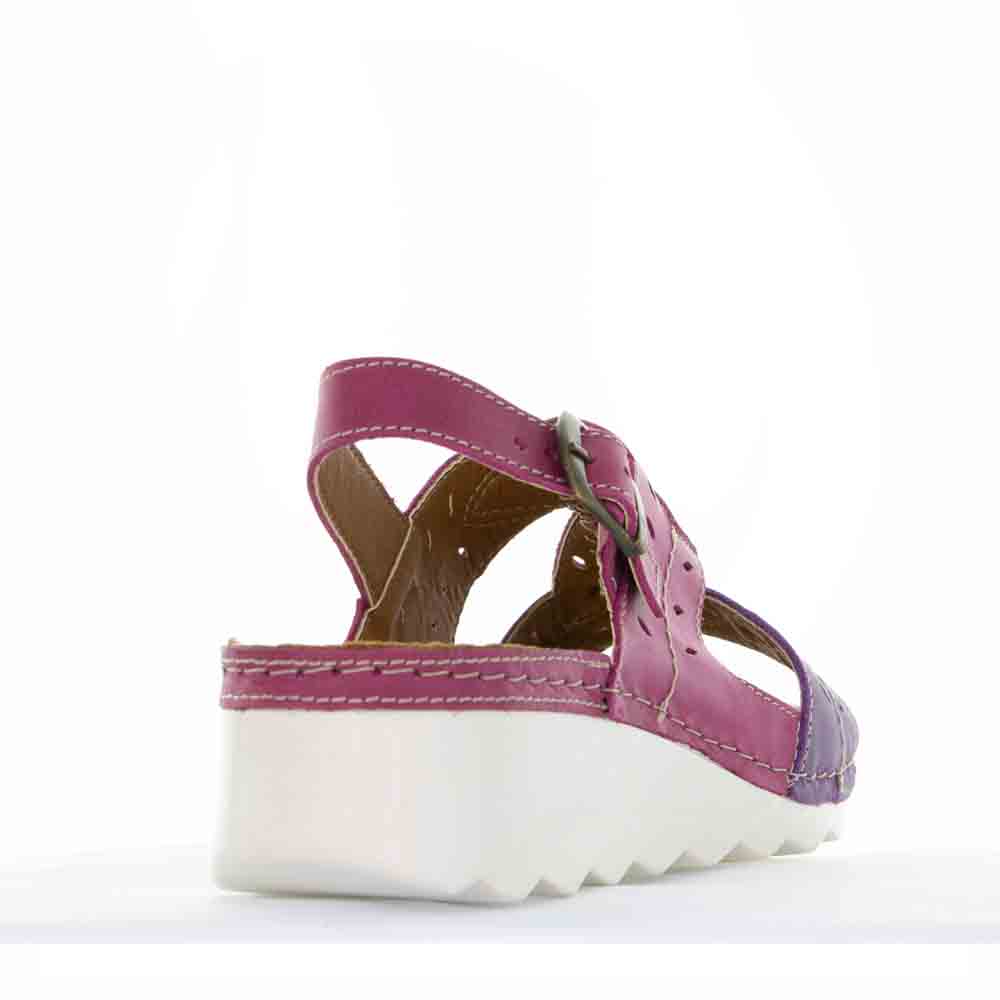 CABELLO 770-445 PURPLE - Image 3