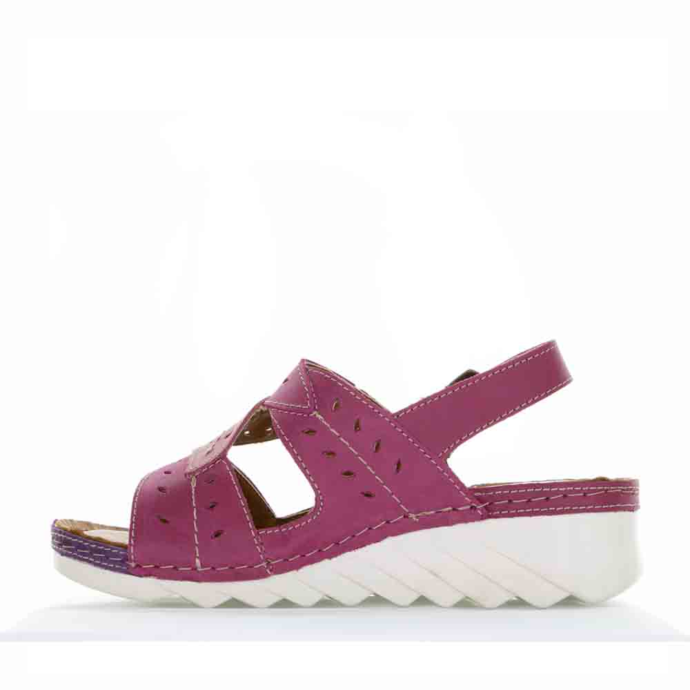 CABELLO 770-445 PURPLE - Image 4