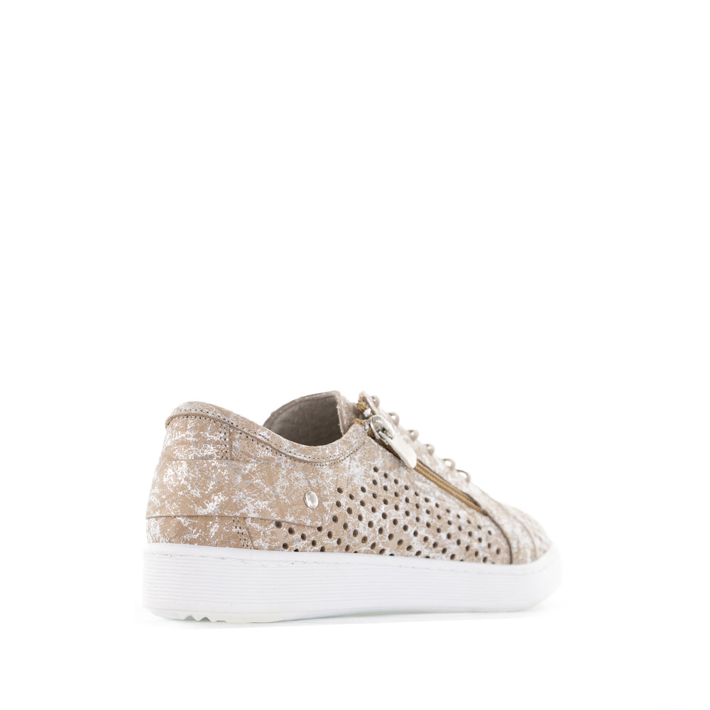 CABELLO EG17 TAUPE PRINT - Image 3