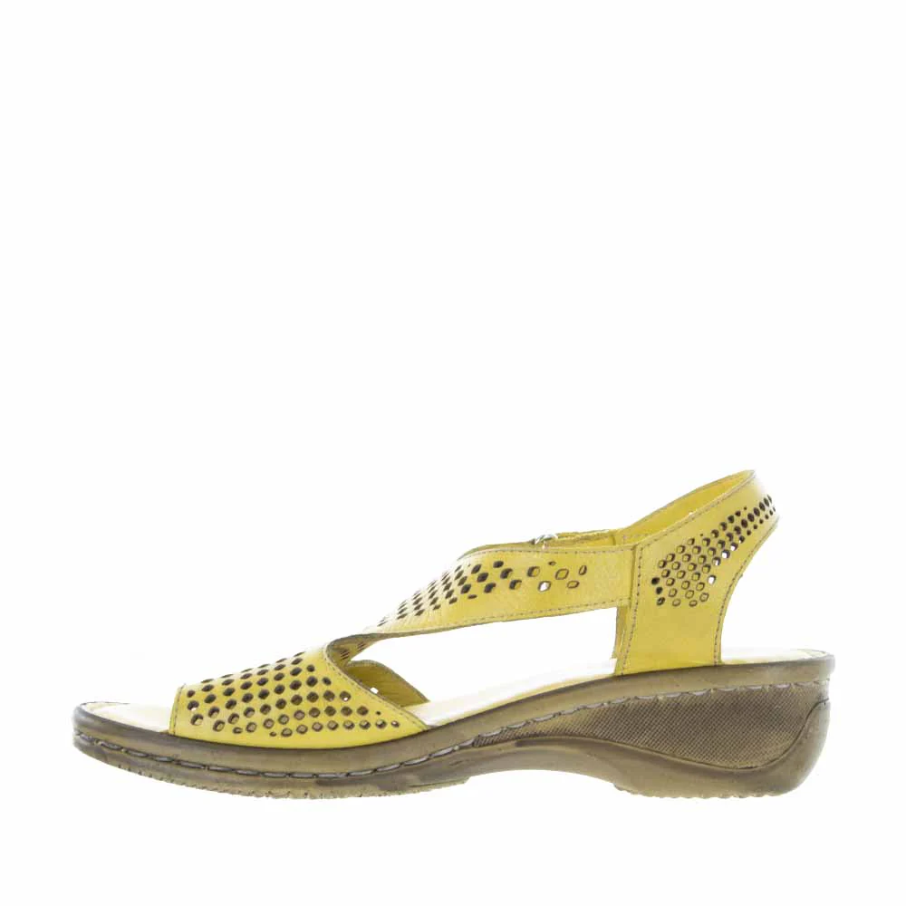 CABELLO RE 640 MUSTARD - Image 3