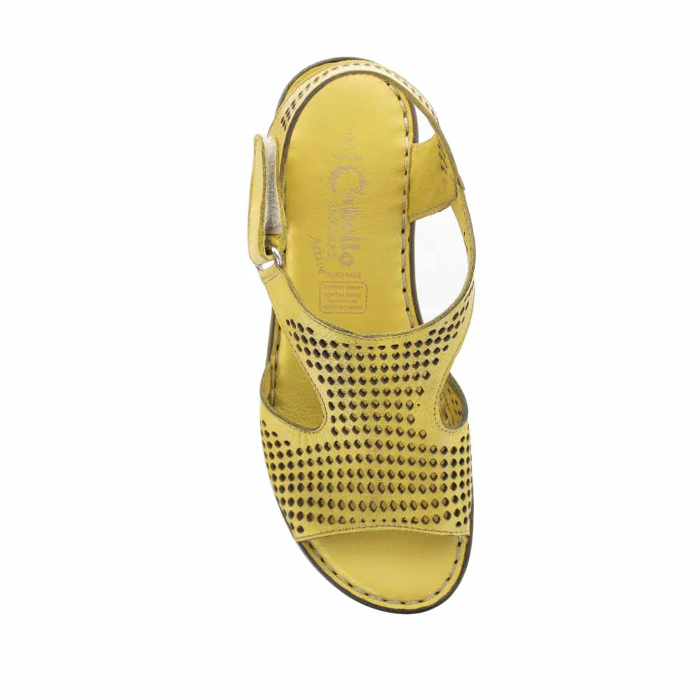 CABELLO RE 640 MUSTARD - Image 4