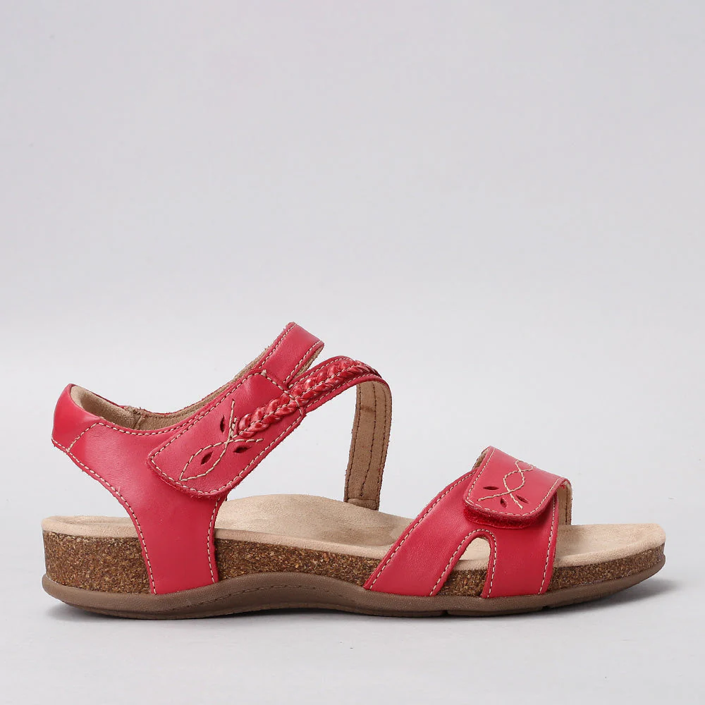 CC RESORTS FERRO RED
