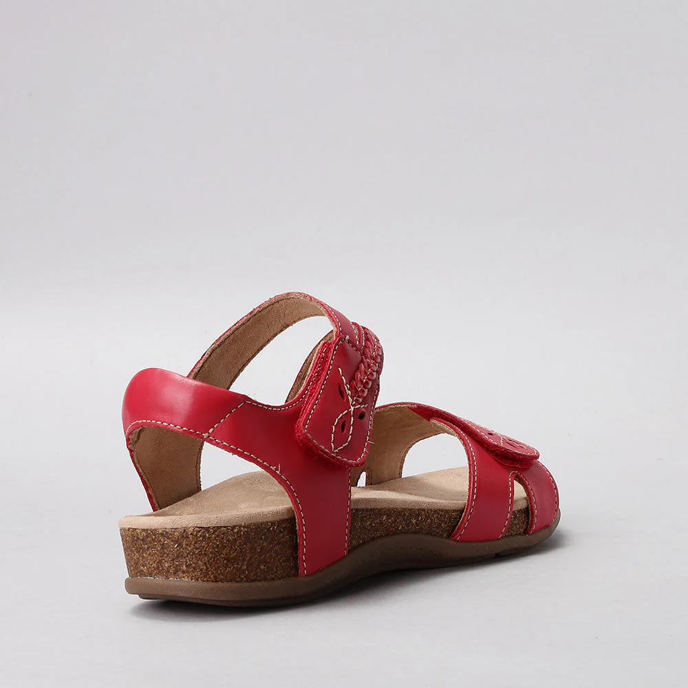 CC RESORTS FERRO RED - Image 3