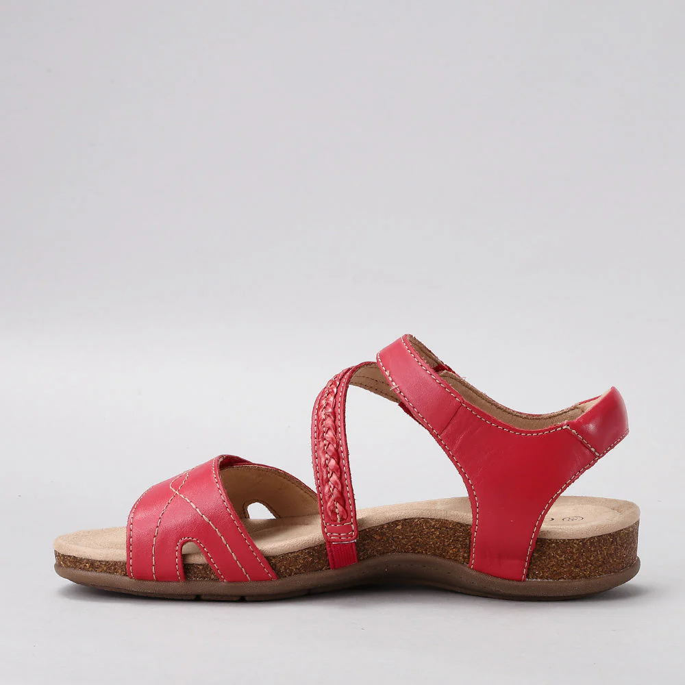 CC RESORTS FERRO RED - Image 4