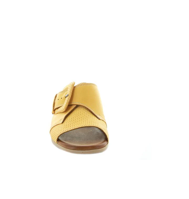 Durban - Mustard - Image 3