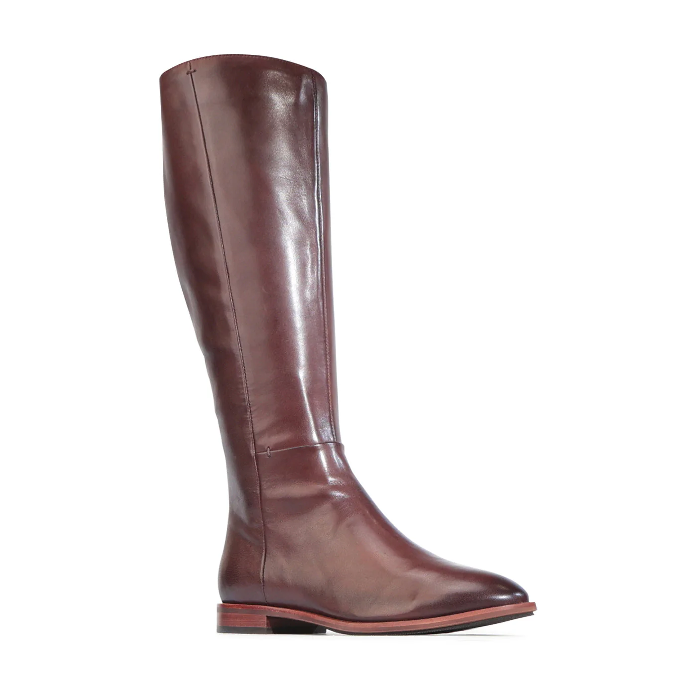 EOS PHEODORA CHESTNUT - Image 2