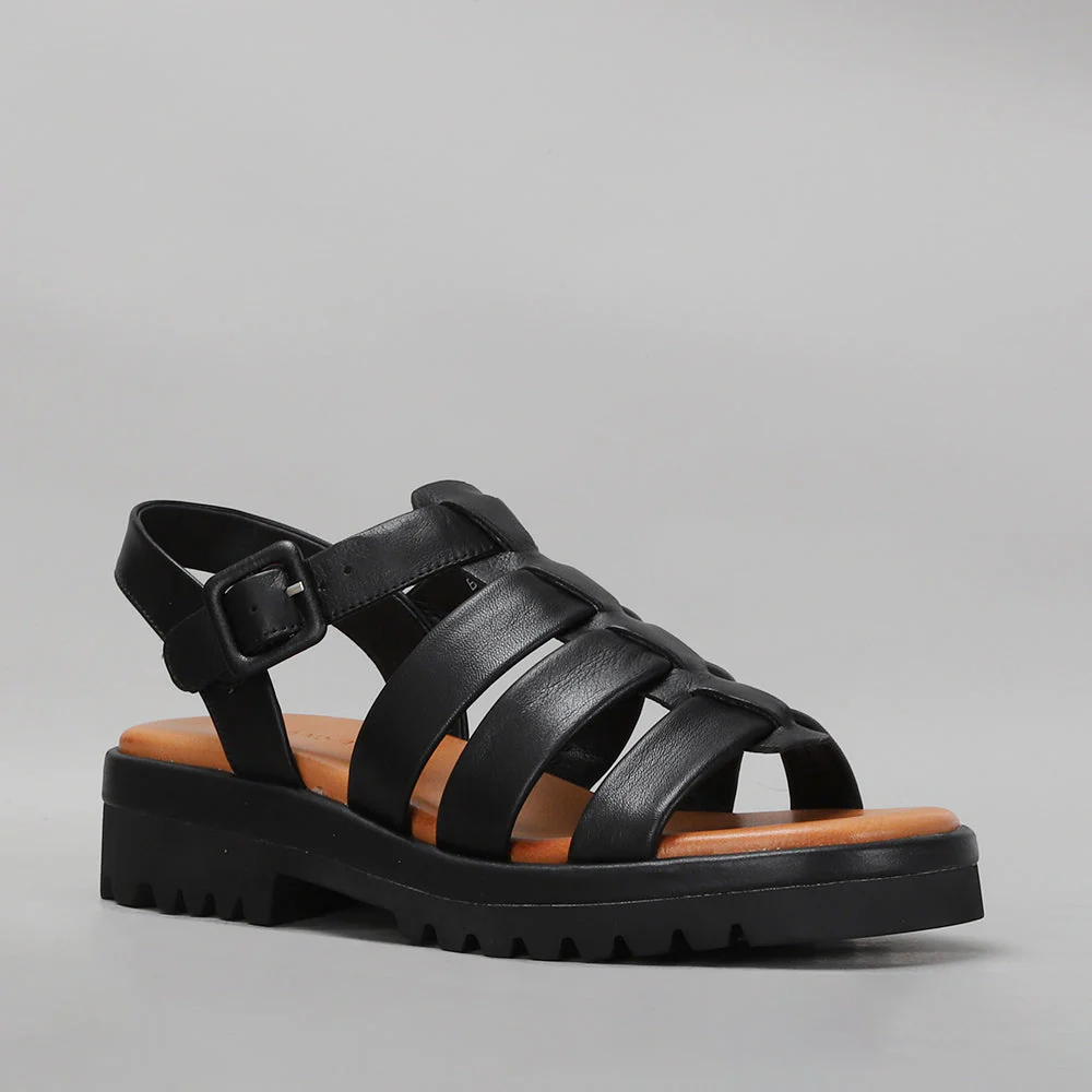 LE SANSA BEETEL BLACK - Image 2