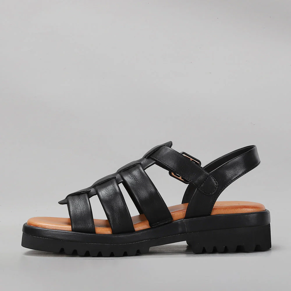 LE SANSA BEETEL BLACK - Image 4