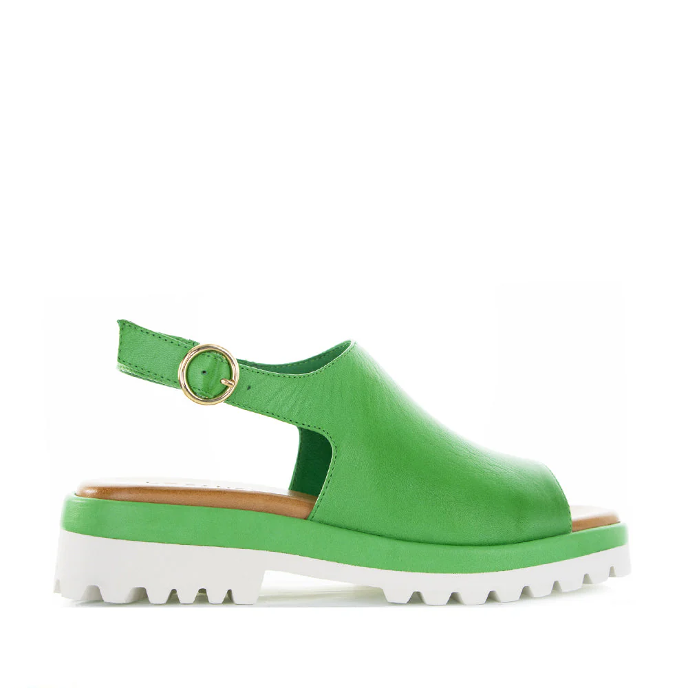 LE SANSA BRIAR FERN GREEN - Image 3