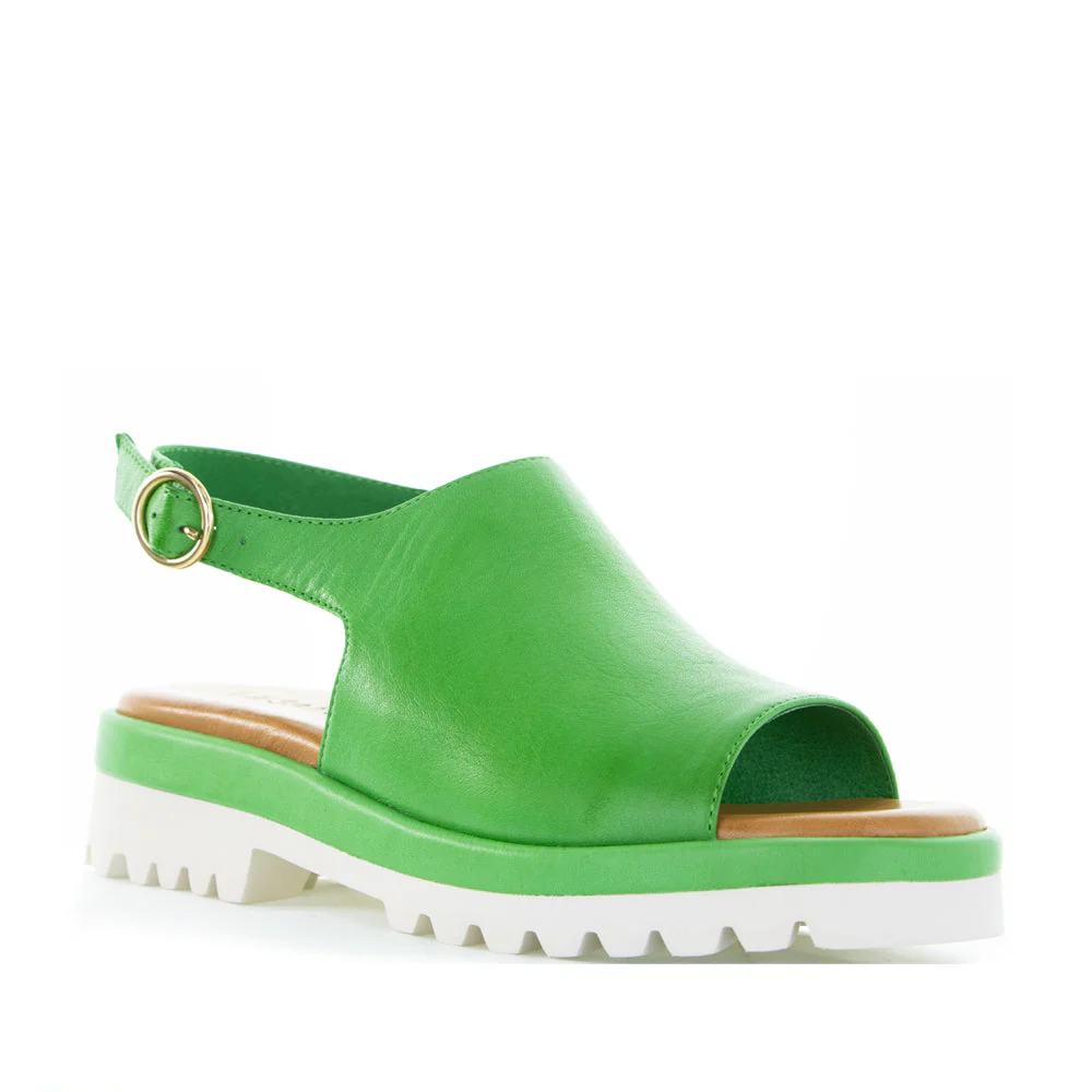 LE SANSA BRIAR FERN GREEN - Image 4