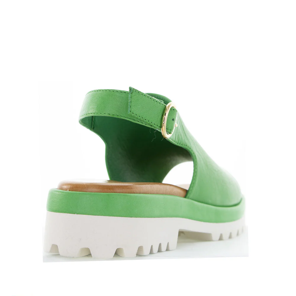 LE SANSA BRIAR FERN GREEN - Image 5