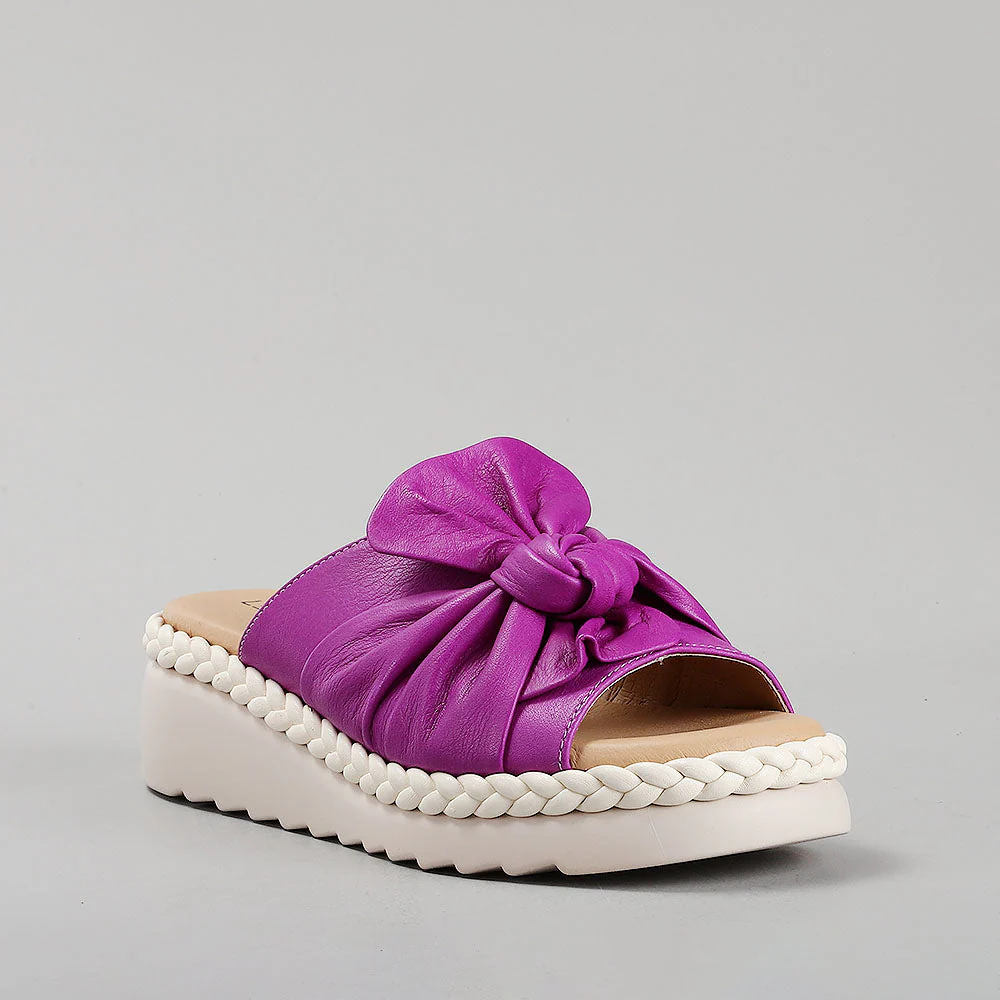 LE SANSA EUDORE PURPLE - Image 2