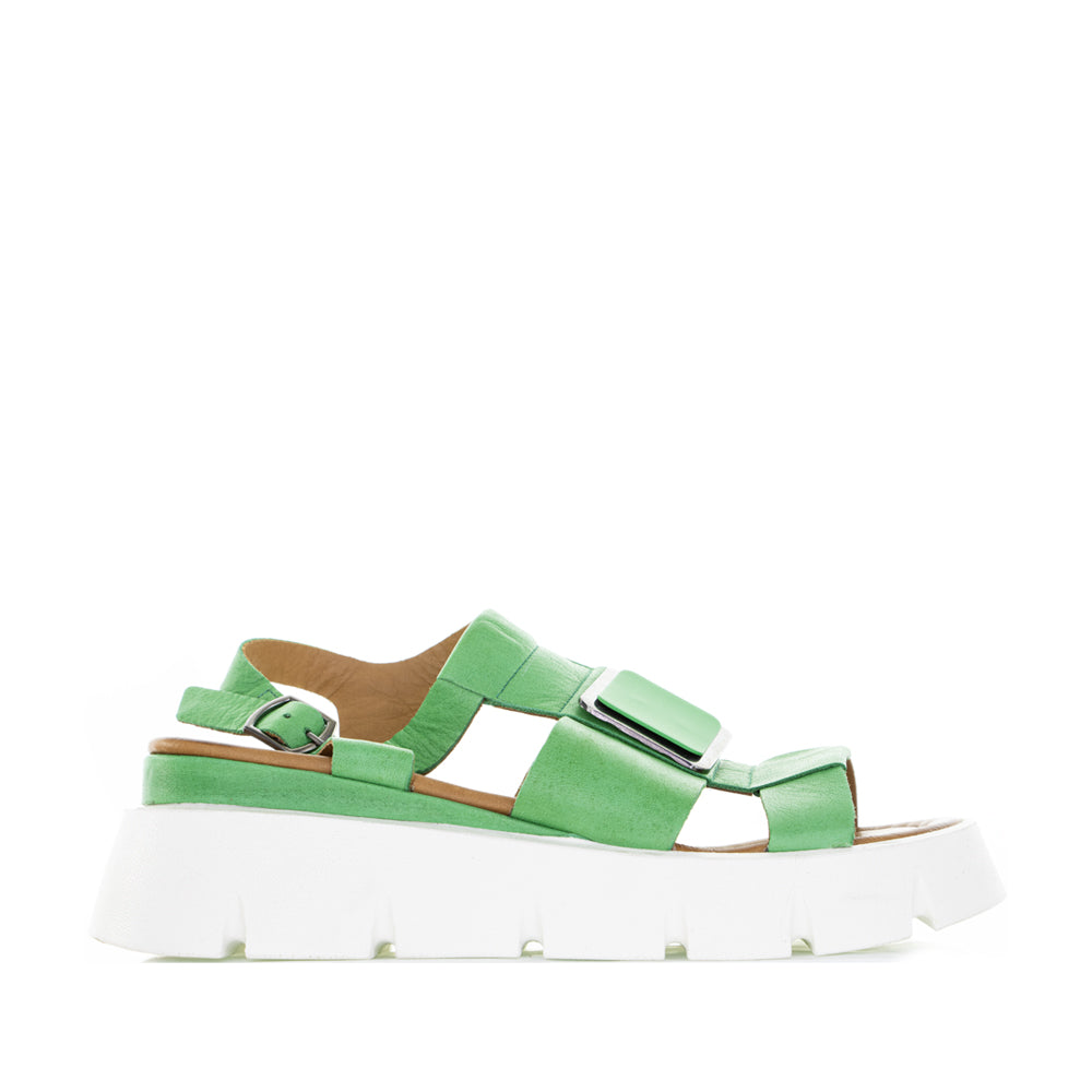 LE SANSA HINDI FERN GREEN