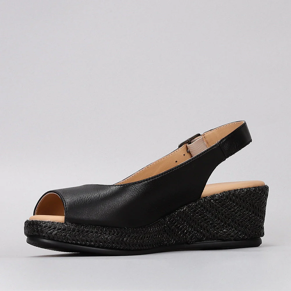LE SANSA PETUNIA BLACK - Image 6