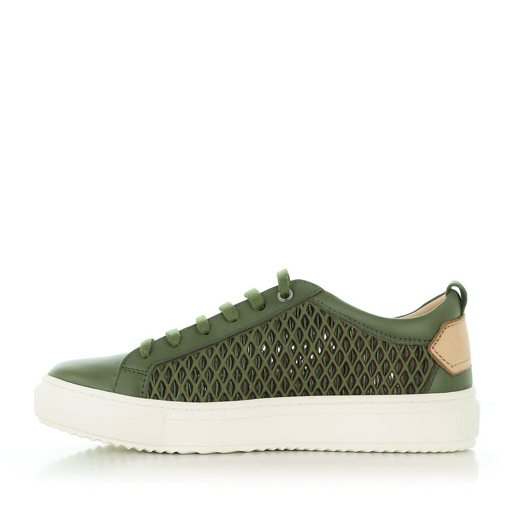 LE SANSA RONDA OLIVE - Image 3
