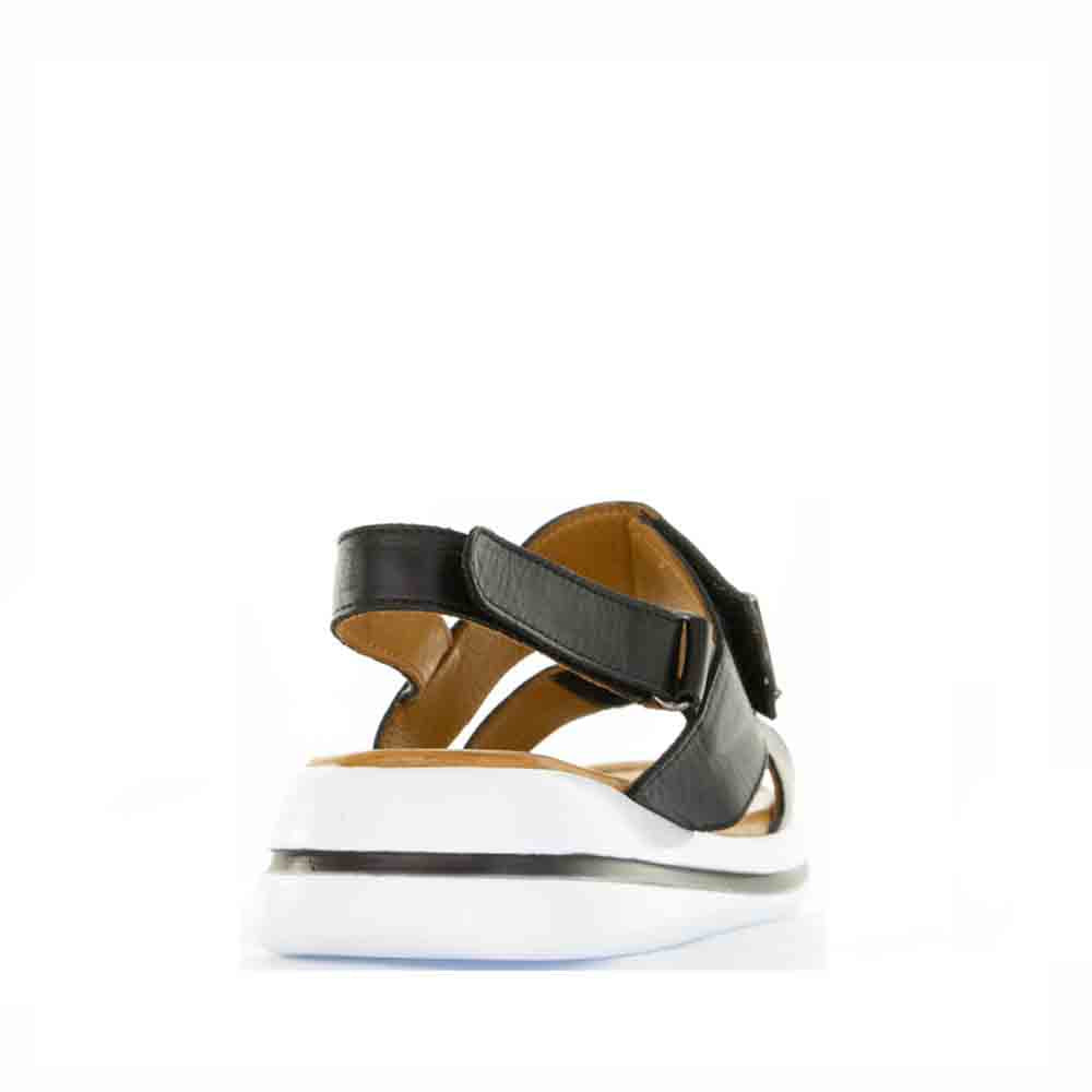 LE SANSA SIMA BLACK - Image 4