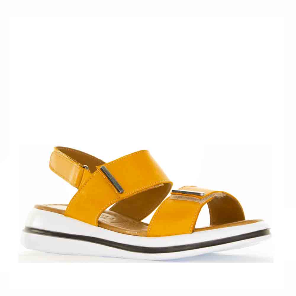 LE SANSA SIMA ORANGE - Image 2