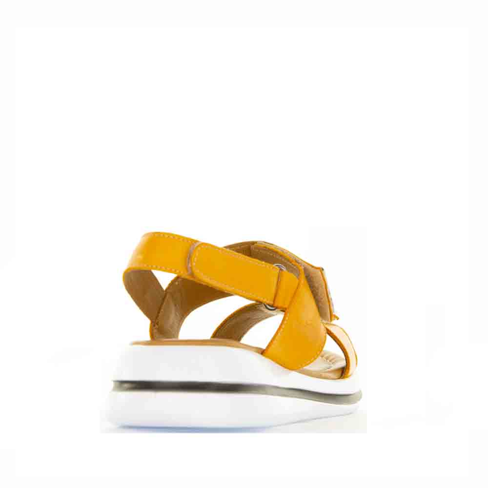LE SANSA SIMA ORANGE - Image 3