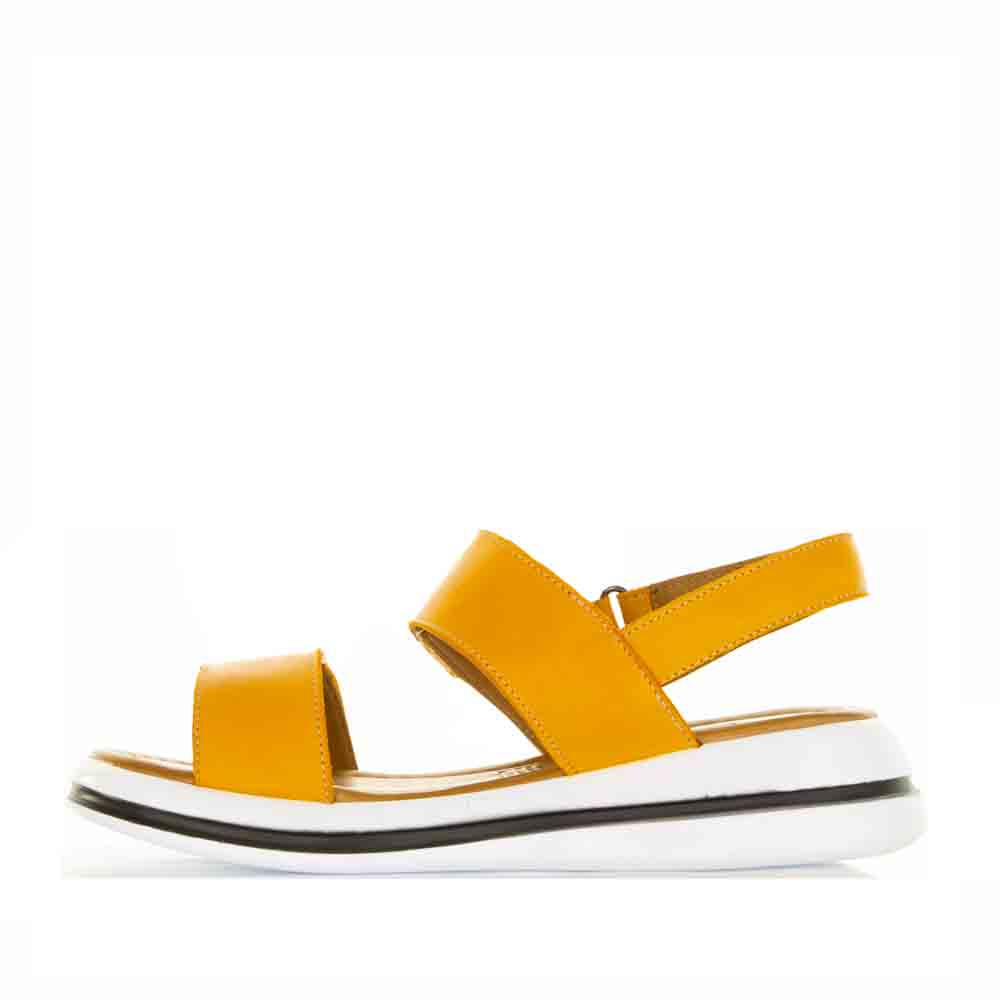 LE SANSA SIMA ORANGE - Image 5