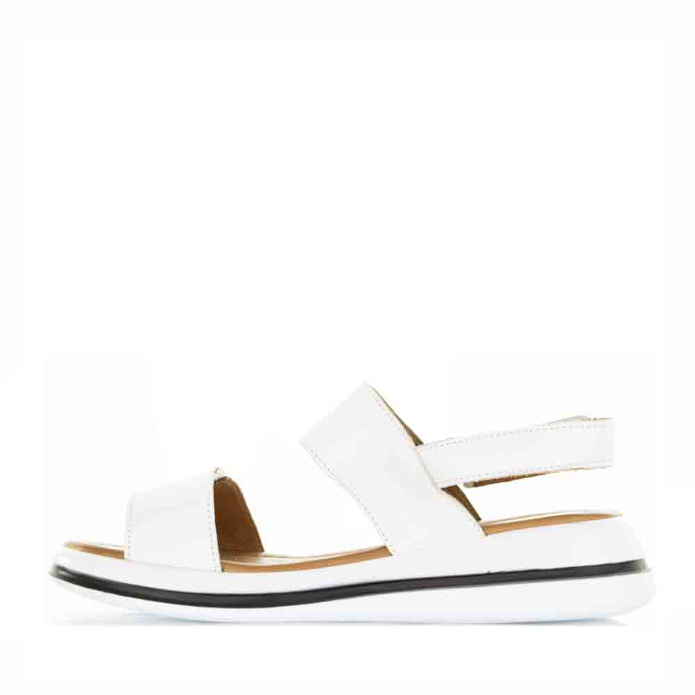 LE SANSA SIMA WHITE - Image 3