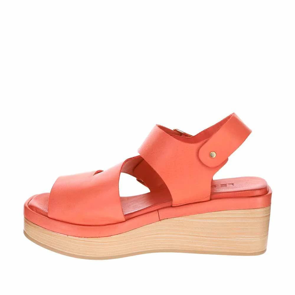 LE SANSA TRI ORANGE - Image 3