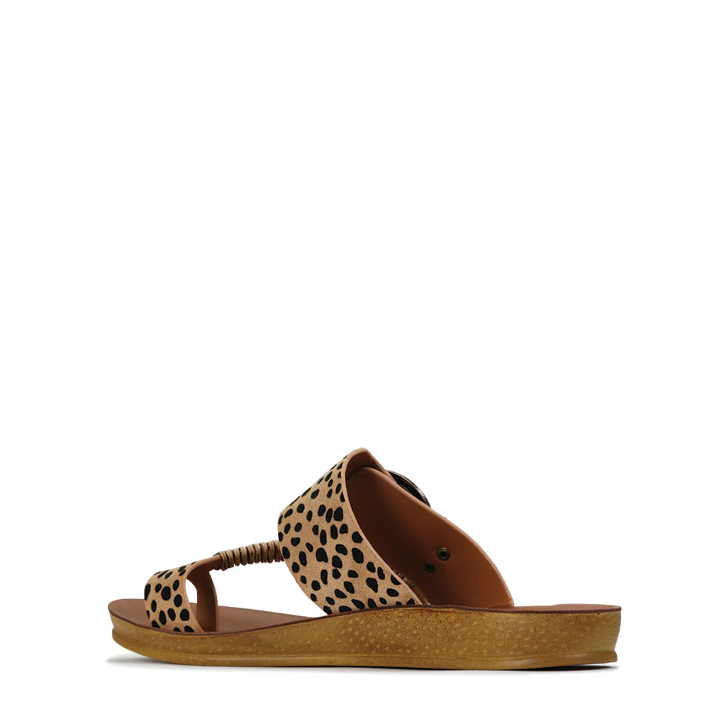 LOS CABOS BRIA CHEETAH - Image 4