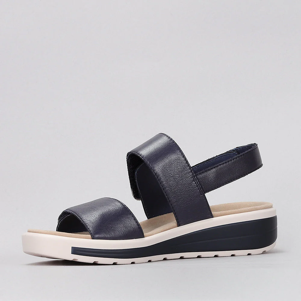 NAKED ARCHES HANZA NAVY - Image 5