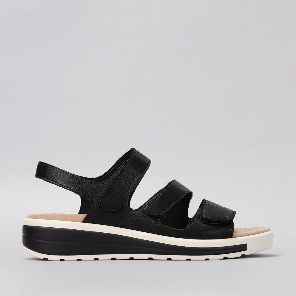 NAKED ARCHES HOLIDAY BLACK