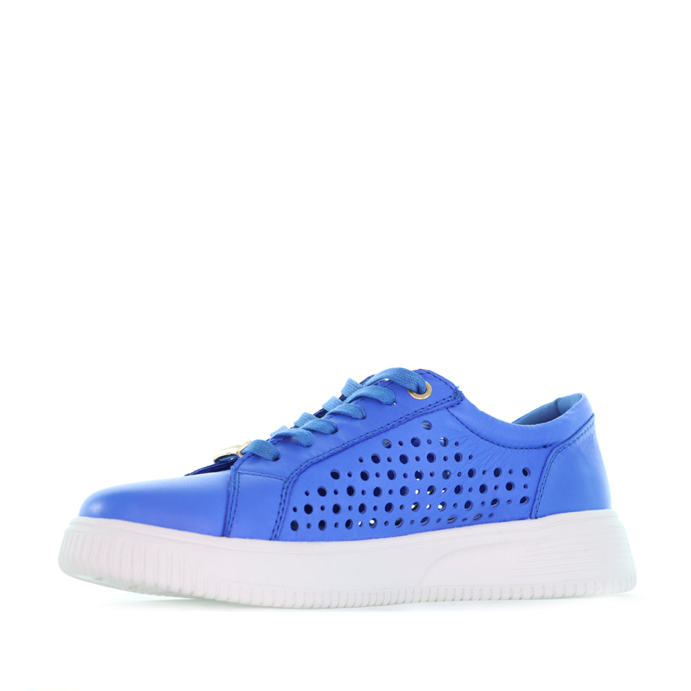 NAKED ARCHES NOBLE ROYAL BLUE - Image 4