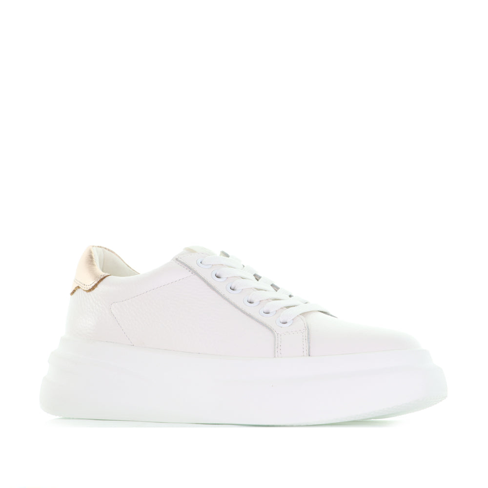 TAMARA LONDON BAILEY WHITE ROSEGOLD - Image 3