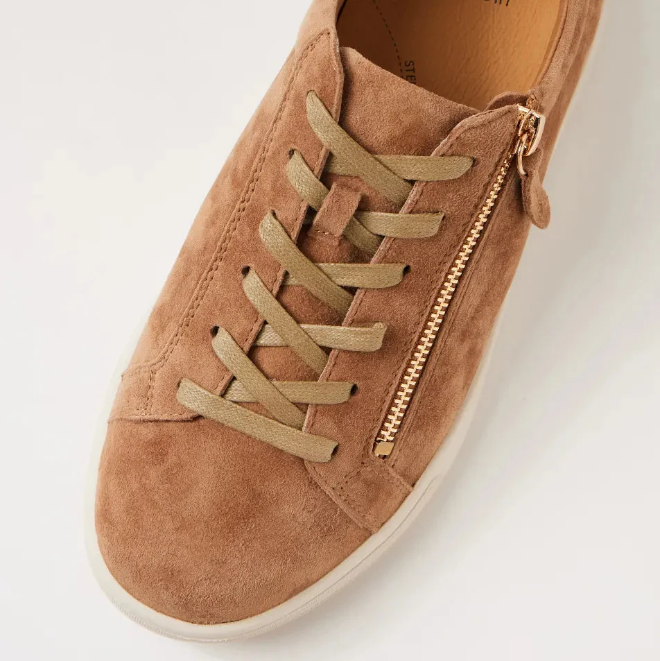 ZIERA AITO LT CHOC ALMOND - Image 4