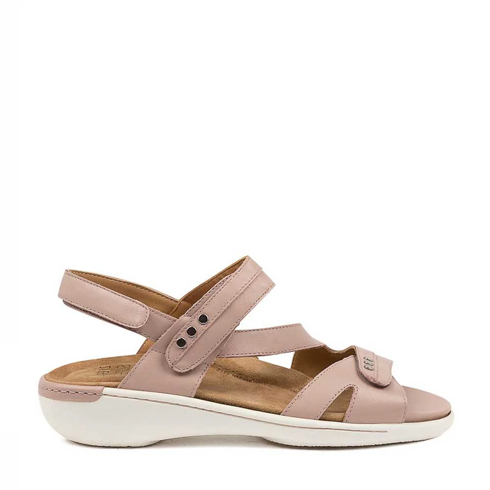 ZIERA BEAUX SEASHELL