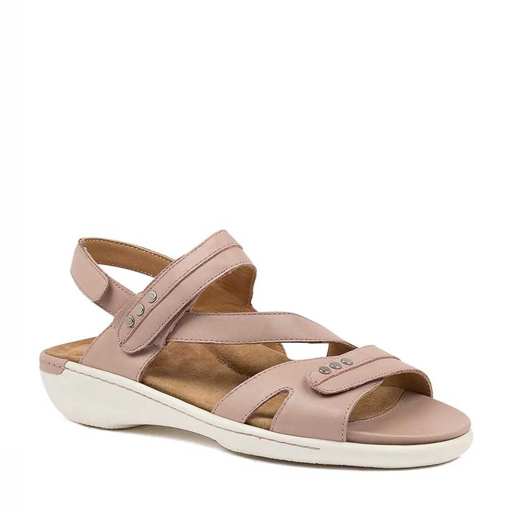 ZIERA BEAUX SEASHELL - Image 2
