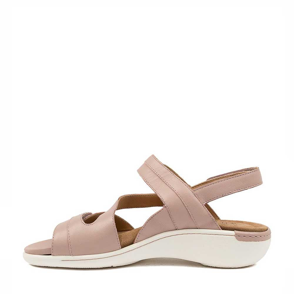 ZIERA BEAUX SEASHELL - Image 4