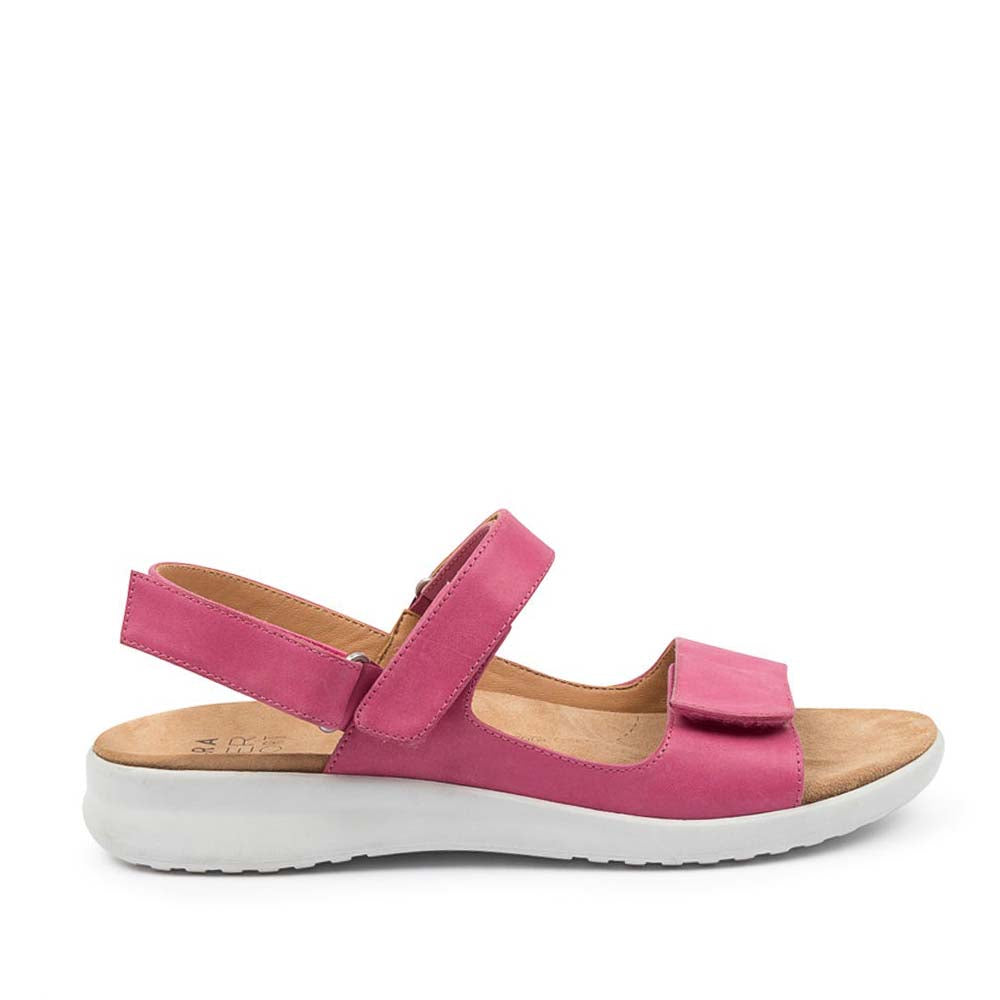 ZIERA BENJI FUCHSIA