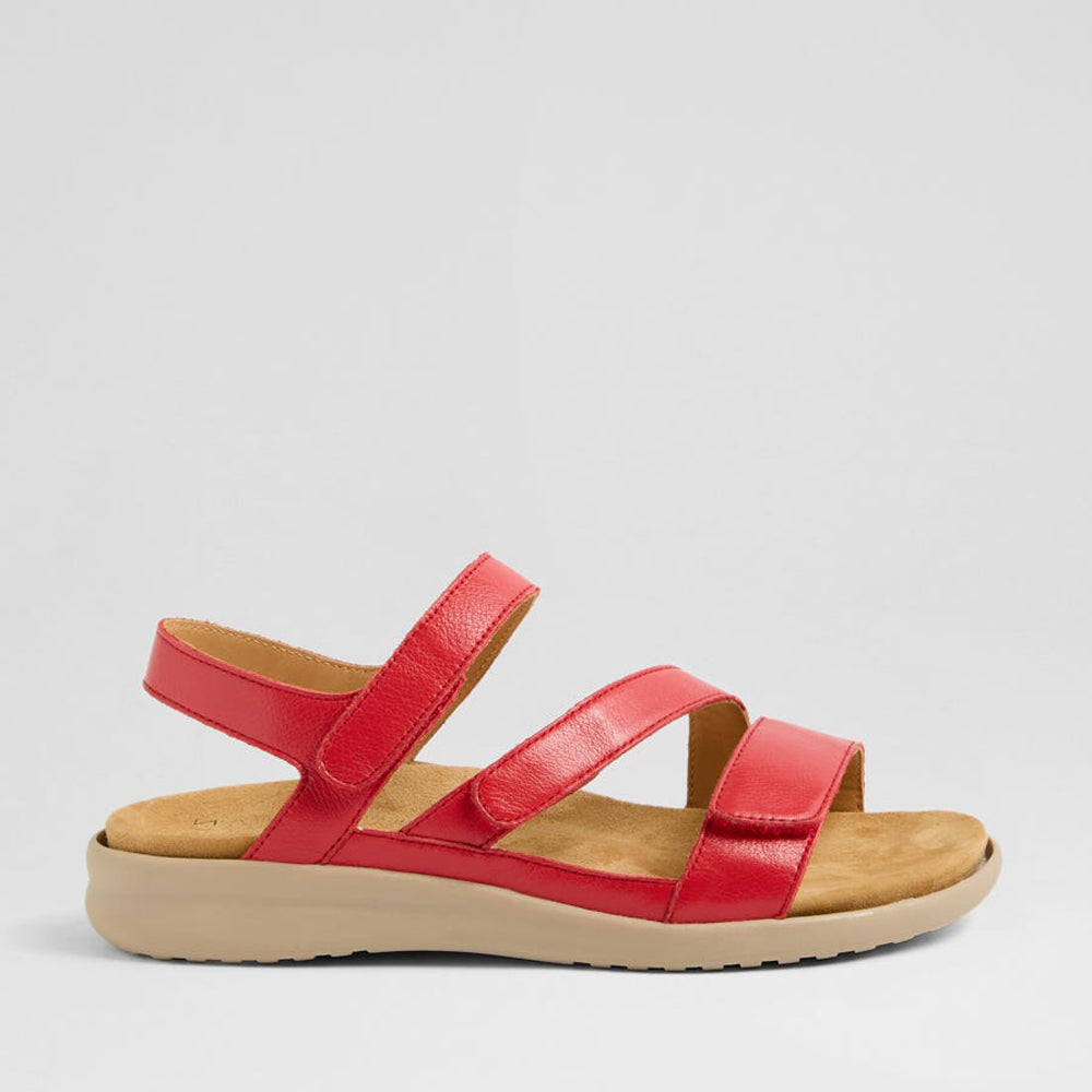 ZIERA BOYDE RED ALMOND