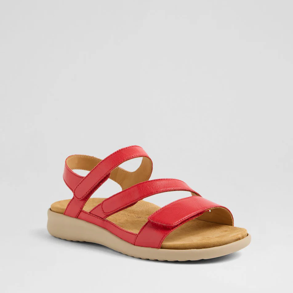 ZIERA BOYDE RED ALMOND - Image 2