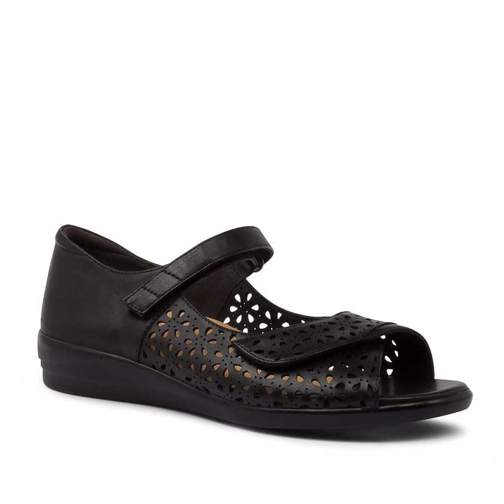 ZIERA DAFFODIL BLACK - Image 2