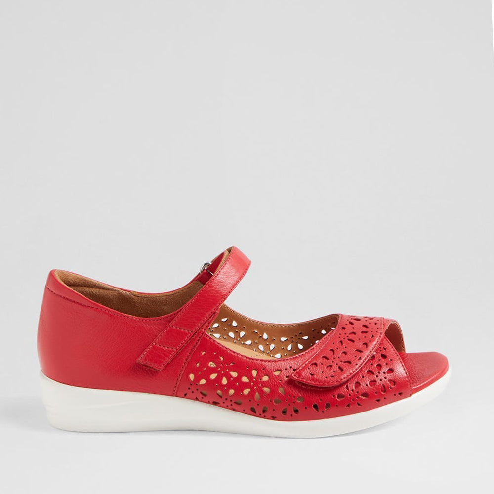 ZIERA DAFFODIL RED