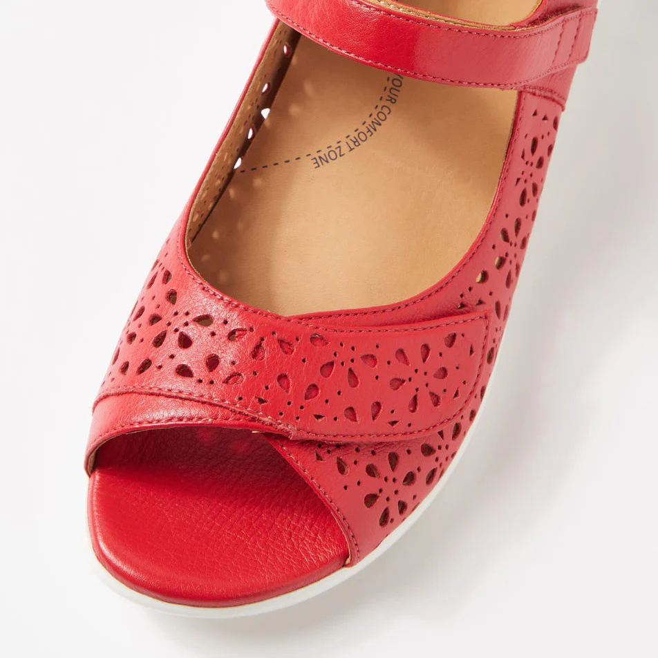 ZIERA DAFFODIL RED - Image 4