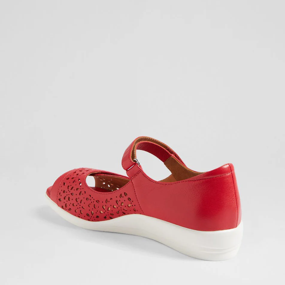 ZIERA DAFFODIL RED - Image 5