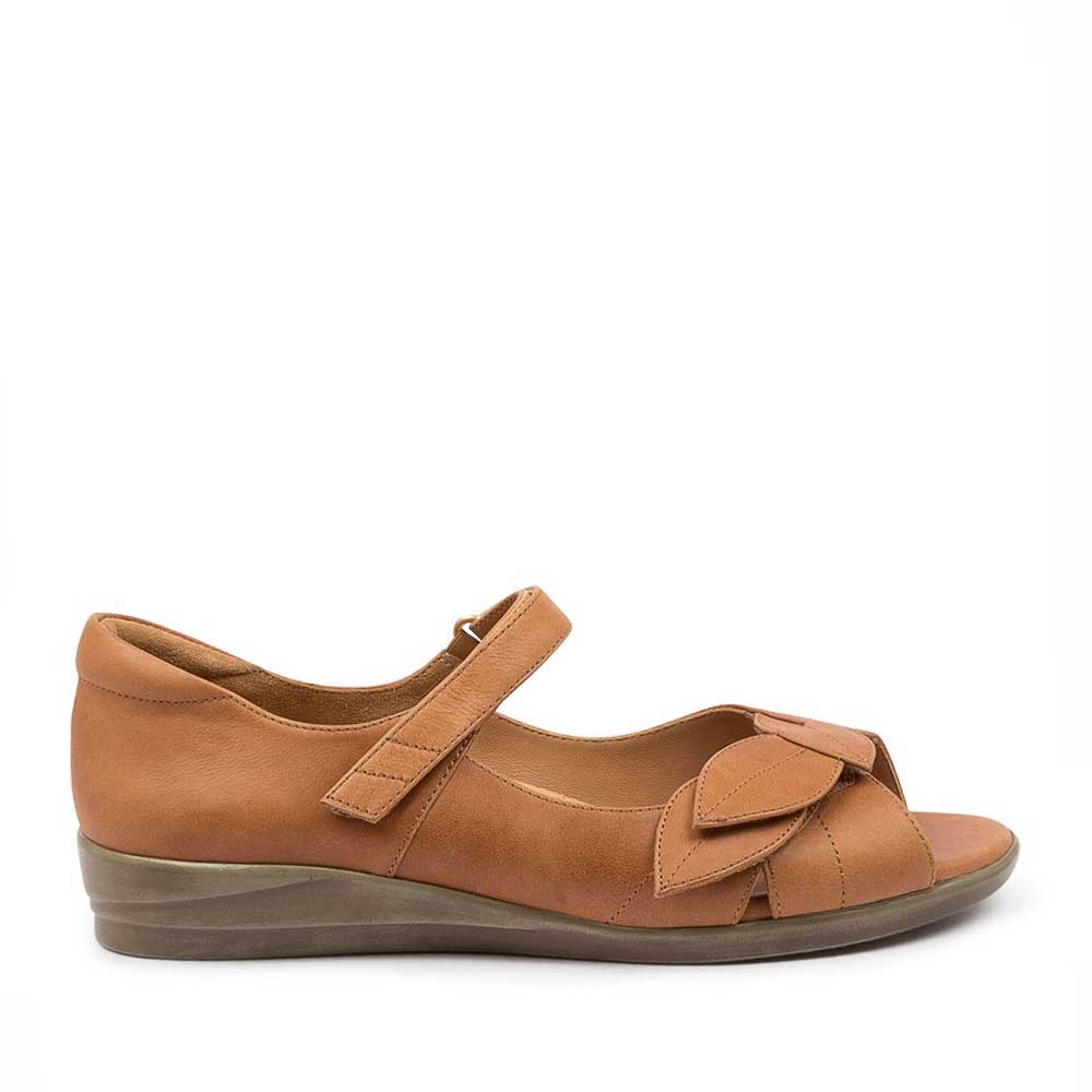 ZIERA DISCO TAN