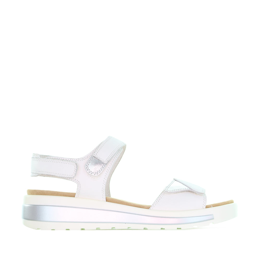 ZIERA GEELEY WHITE SILVER