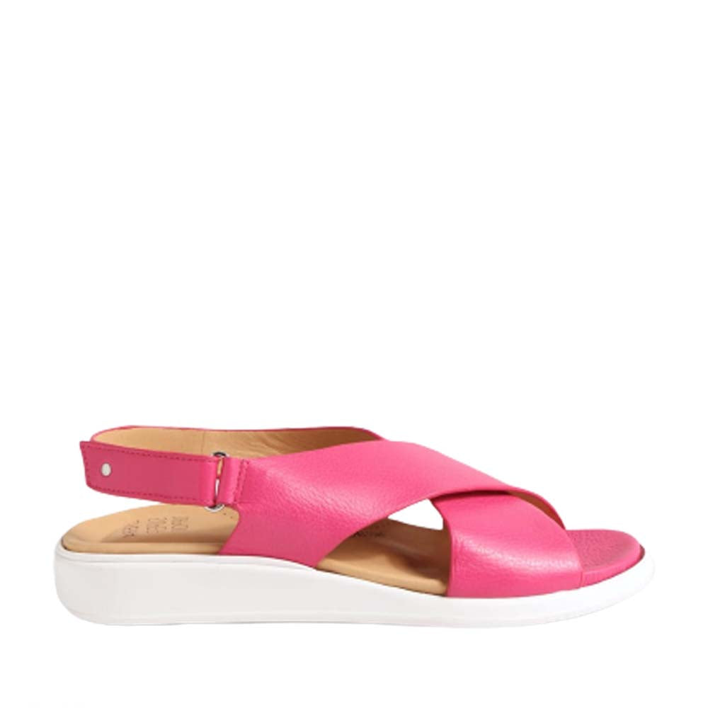 Ziera Ilda Fuchsia