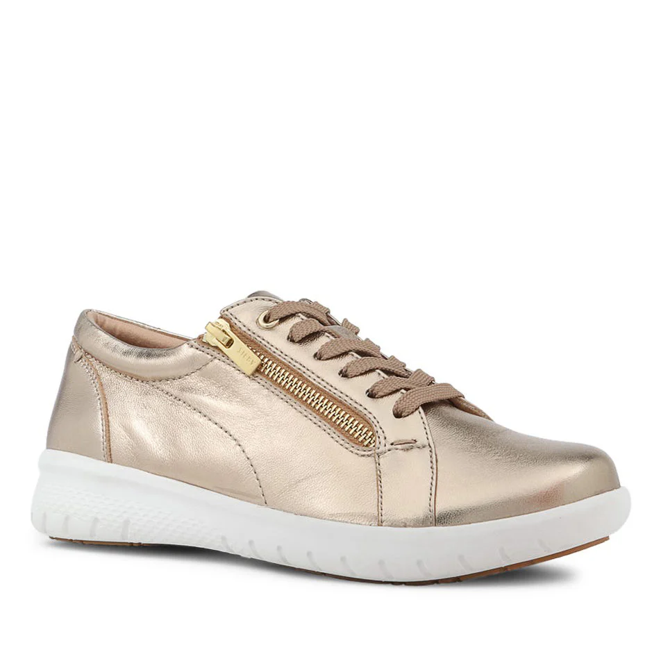 ZIERA SOLAR CHAMPAGNE - Image 2