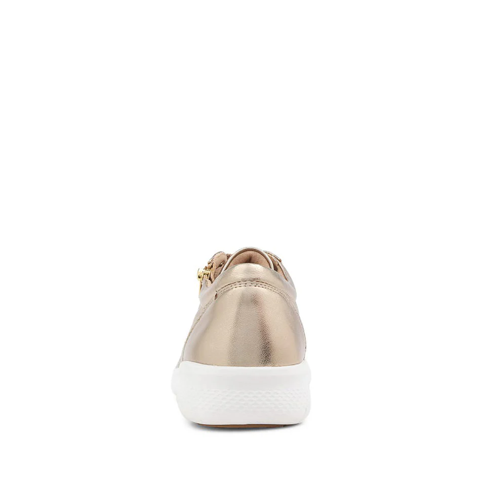 ZIERA SOLAR CHAMPAGNE - Image 4
